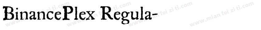 BinancePlex Regula字体转换